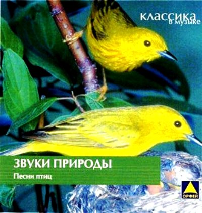 голоса птиц россии слушать голоса птиц россии слушать